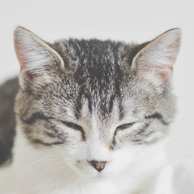 通过三级分销模式，让你的员工，好友客户助力卖货